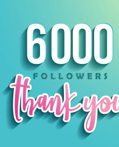 my twitter followers