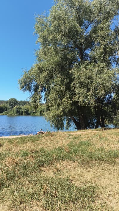 ☀️ Sunday, day off. Enjoying the summer vibes! 🌳🇺🇦
☀️ Воскресенье, выходной день. Наслаждаемся летом! 🌳🇺🇦