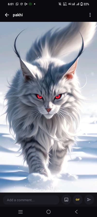 Nice Wallpaper