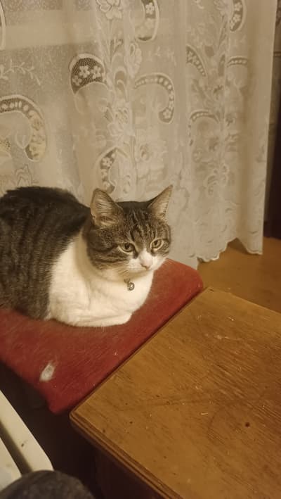 Задумывает что-то))