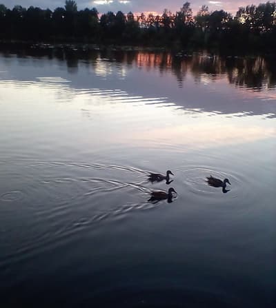 Post