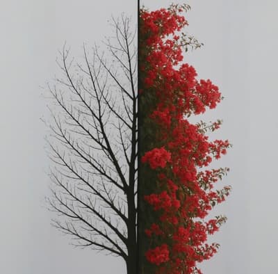 same tree different season... in life never give up.