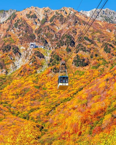 Where is this?