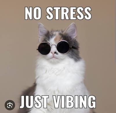 #nostress