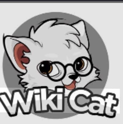 wikky 🥰😍🤩