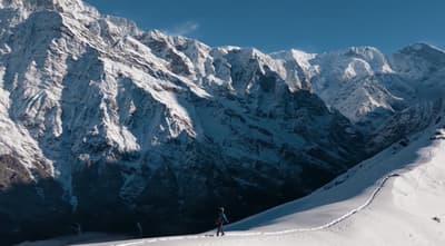 Touch grass or touch snow? ❄️ Hiking through Mardi Himal, Nepal. Rate this view! 🏔️✨