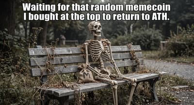 Do you like memes? 😅