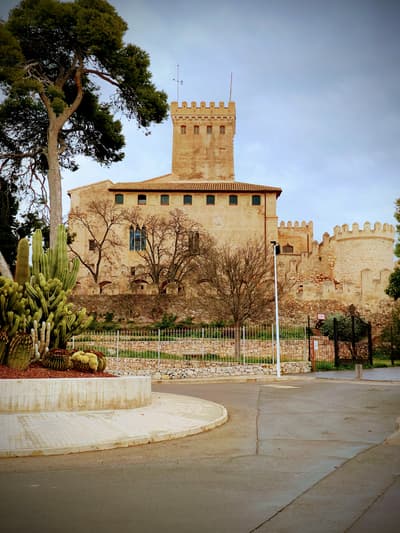 Castle 🏰