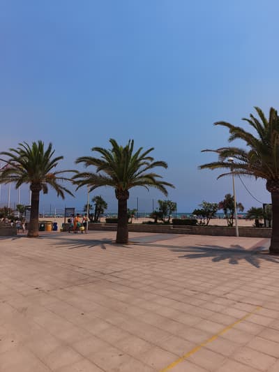 Sea, beach, sun