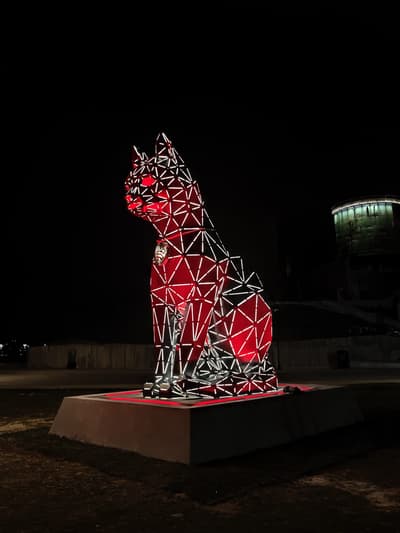 Crypto cat of Istanbul 🐈
$JUP