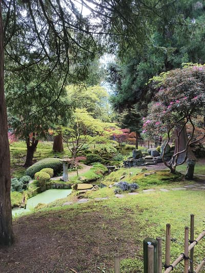 Japanese garden in Tatton Park