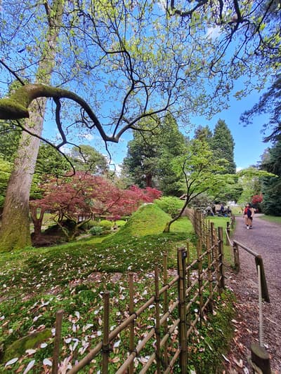 Japanese gardens at Tatton Park, Cheshire, UK