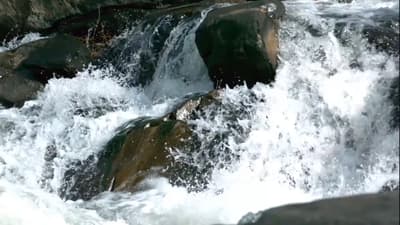 Wild waters rush fiercely over ancient rocks, creating a mesmerizing symphony of nature's raw, untamed power and endless energy. 🌊
