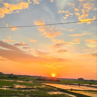 Post