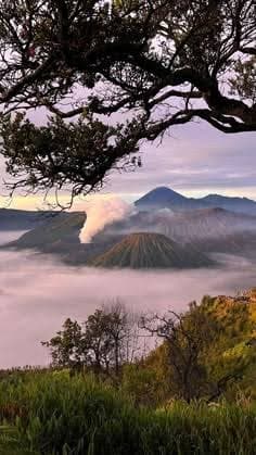 very beautiful