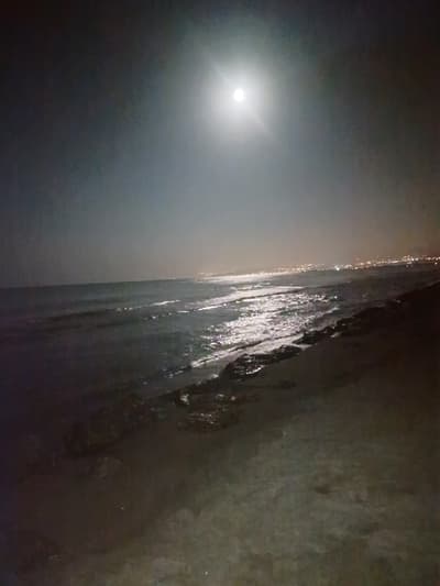 Samsun Türkiye yakamoz gecemiz