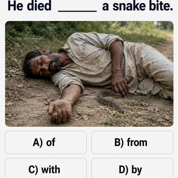 let's check your grammar