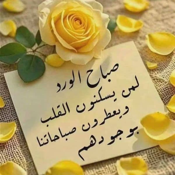 gm fam ❤️