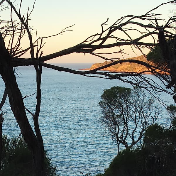 Good evening friends! 
Really hoping you are enjoying your Sunday! 🏝️