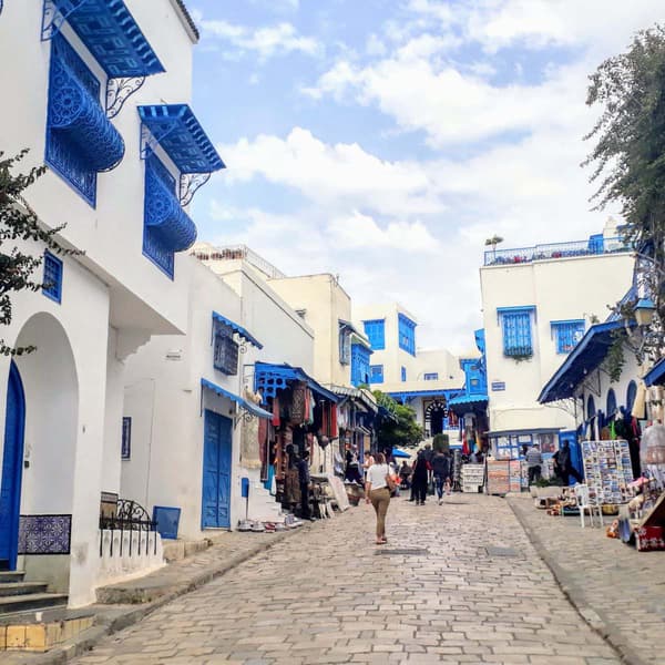 Tunisia 🇹🇳 sidibousaid