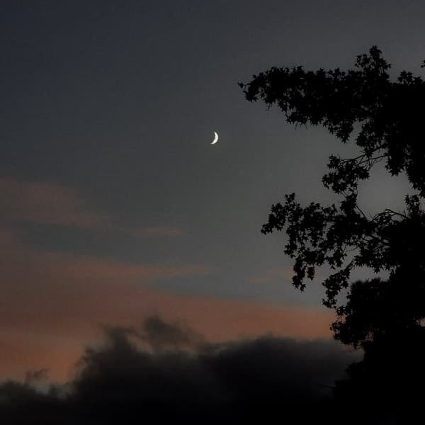 a beautiful night