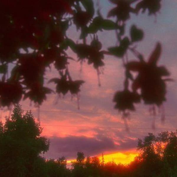 the sunset is beautiful isn't it ?