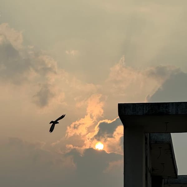 good morning