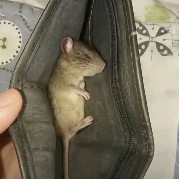 in this economies 😅