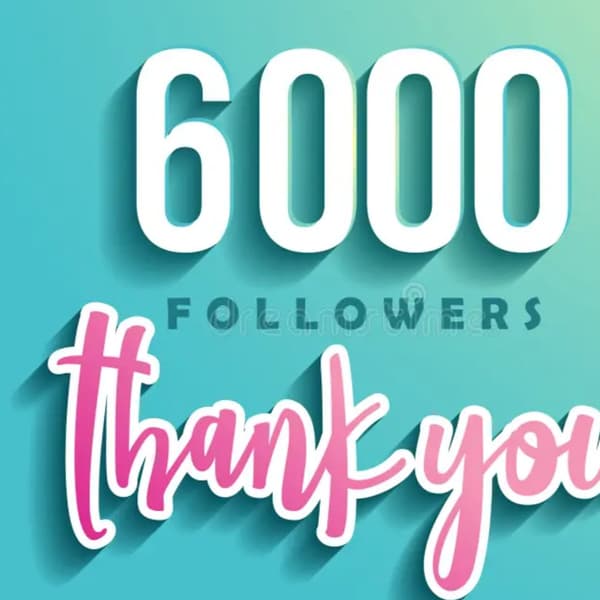 my twitter followers